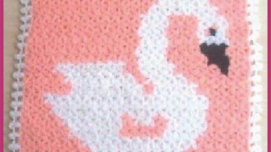 Orgu-Lif-Modeli-Yapimi.