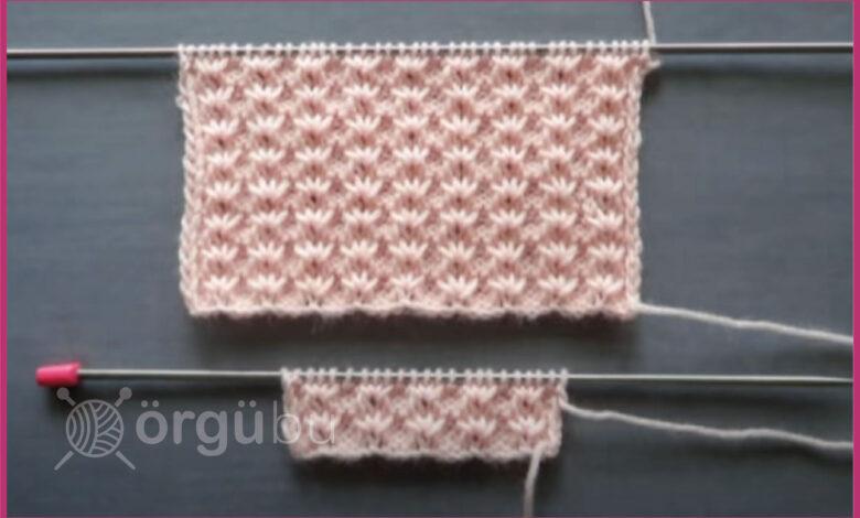 Çitlembik Örgü Modeli Yapılışı Ve Anlatımı 1 Citlembik-Orgu-Modeli-Yapilisi